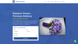 Thumbnail of raylidem.com