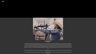 Thumbnail of terriannestrongarm.com