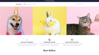 Thumbnail of zelidoo.com
