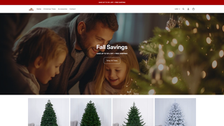 Thumbnail of house-christmas.com