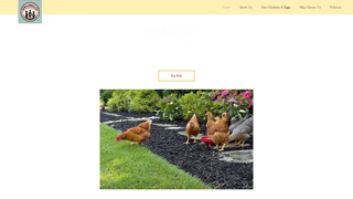 Thumbnail of henandshellco.com