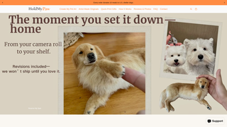 Thumbnail of holdmypawart.com