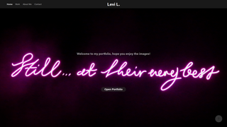 Thumbnail of levilamming.com