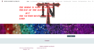 Thumbnail of nissieacademy.com