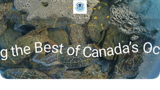 Thumbnail of vancouverseafoods.com