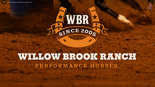 Thumbnail of willowbrookranchperformancehorses.com