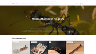 Thumbnail of antnook.net