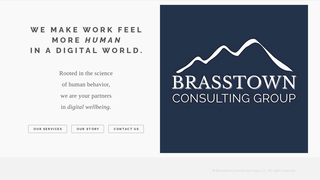 Thumbnail of brasstownconsulting.com