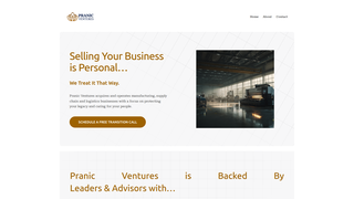 Thumbnail of pranicventures.com