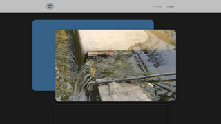 Thumbnail of dawsrestorationservicesllc.com