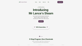 Thumbnail of mrlancessteam.com