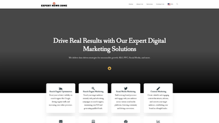 Thumbnail of expertsnewszone.com