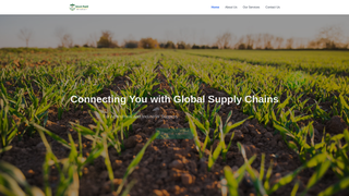 Thumbnail of securerapidbroker.com
