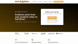 Thumbnail of antsrodentsfallriver.com