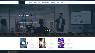 Thumbnail of bizoncapitals.com