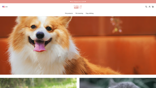 Thumbnail of luquxuan.com