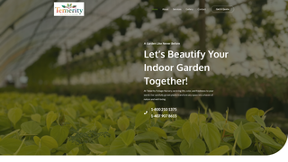 Thumbnail of temerityfoliage.com