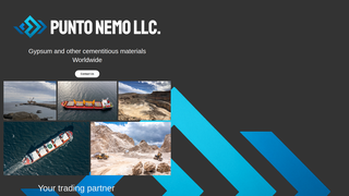 Thumbnail of puntonemo.net