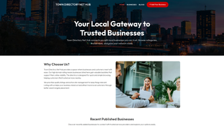 Thumbnail of towndirectorynethub.com