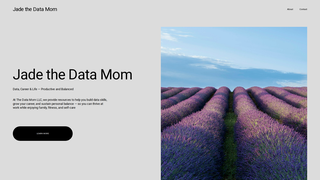 Thumbnail of thedatamom.com