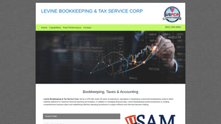 Thumbnail of levinebookkeepingservicesgov.com