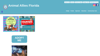 Thumbnail of allianflo.com