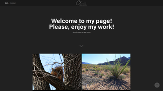 Thumbnail of craigleavell.com