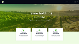 Thumbnail of lifelineholdingsltd.com