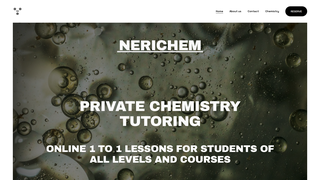 Thumbnail of nerichem.com