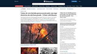 Thumbnail of jinfangtex.com