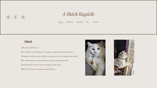 Thumbnail of 4shilohragdolls.com