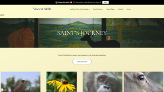 Thumbnail of vincentmelli.com