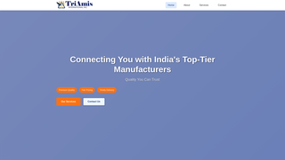 Thumbnail of triamisinternational.com