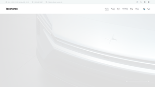 Thumbnail of teranorex.com