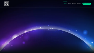 Thumbnail of tedvasolutionllc.com