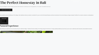 Thumbnail of balinaturalhome.com