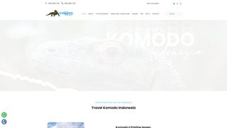 Thumbnail of travelkomodoindonesia.com