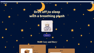 Thumbnail of yoursnoozle.com