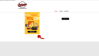 Thumbnail of carloopo.com