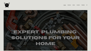 Thumbnail of anthonymunozplumbing.com