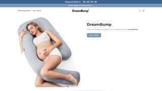 Thumbnail of dream-bump.com