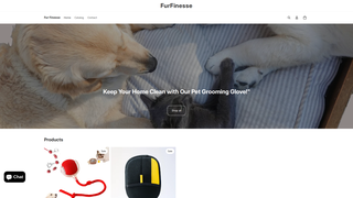 Thumbnail of finessefur.com