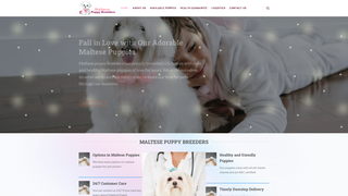 Thumbnail of maltesepuppybreeders.com
