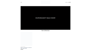 Thumbnail of ariannadessistore.com