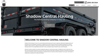 Thumbnail of haulingtracy.com
