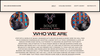 Thumbnail of boujeebunniesandmore.com