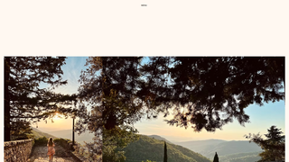 Thumbnail of moeyvisuals.com