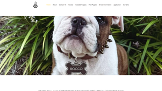 Thumbnail of chiefbulldogs.com