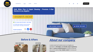 Thumbnail of sofashinepros.com