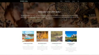 Thumbnail of wildindiatravel.com